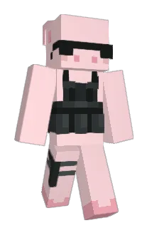 SangellAS Minecraft avatar full body