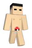 Sanginini Minecraft avatar full body