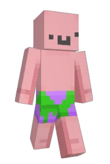 Sankaaa Minecraft avatar full body