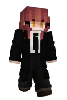 Sans_yin Minecraft avatar full body