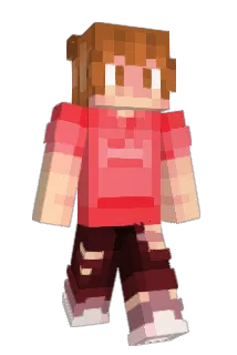 Sansysans Minecraft avatar full body
