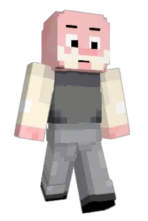 SaoPauloSunset Minecraft avatar full body
