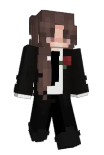 Sapatona_ Minecraft avatar full body