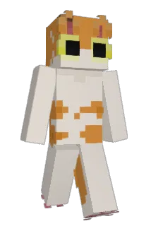 Sapje0 Minecraft avatar full body