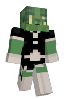 Saroney Minecraft avatar full body