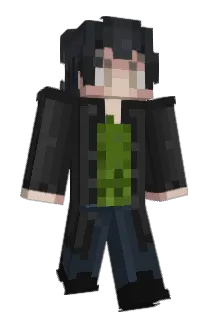 Sarzgmr Minecraft avatar full body