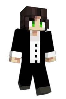 Sashlbaschl Minecraft avatar full body