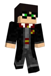Sassicass Minecraft avatar full body