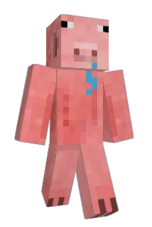 Satorx33 Minecraft avatar full body