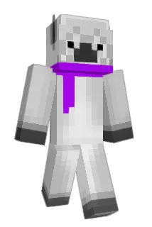 Saugstauberr Minecraft avatar full body