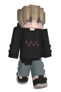 Sausbakje Minecraft avatar full body