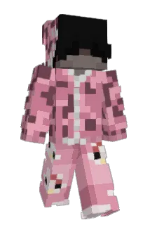 SavLion Minecraft avatar full body