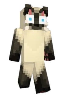 Sava_a Minecraft avatar full body