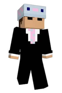 SavageLlamaaa Minecraft avatar full body