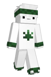 SavoxDesigns Minecraft avatar full body