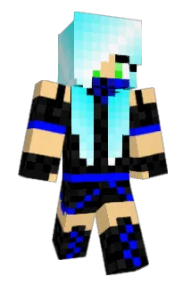 Savvy493 Minecraft avatar full body