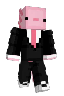 Sawooloo23 Minecraft avatar full body