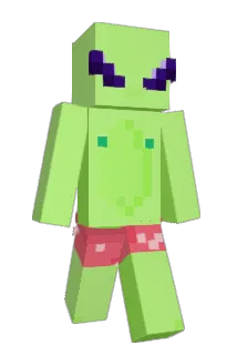 SawyerFinn Minecraft avatar full body