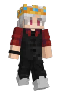Schafi100 Minecraft avatar full body