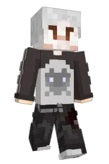 Schellnut Minecraft avatar full body