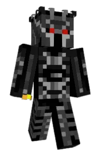 Schildkroet05 Minecraft avatar full body