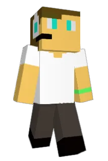 Schildo008 Minecraft avatar full body