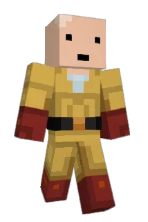 Schimpfie Minecraft avatar full body