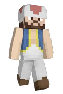 Schlaccc Minecraft avatar full body