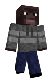 Schluwer Minecraft avatar full body
