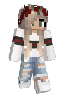 Schnitzel238 Minecraft avatar full body