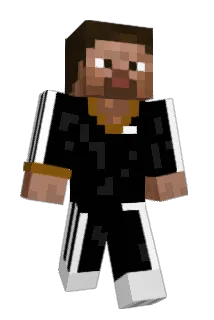 Schutzzeit Minecraft avatar full body