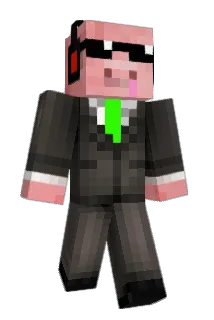 Schwallio Minecraft avatar full body