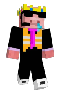 Schwoin Minecraft avatar full body