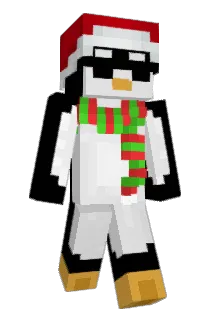 Scroopr Minecraft avatar full body