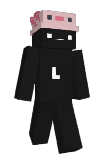 Sdrooo Minecraft avatar full body