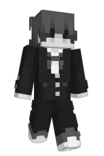 Se1nem Minecraft avatar full body
