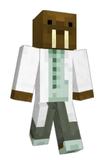 SeDoctor Minecraft avatar full body