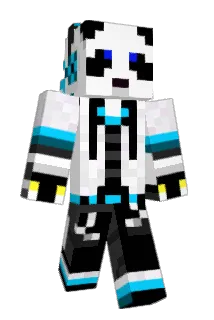SeaNinjaz Minecraft avatar full body