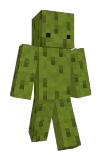SeaPockle Minecraft avatar full body