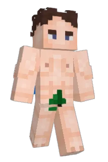 SeagullQp Minecraft avatar full body