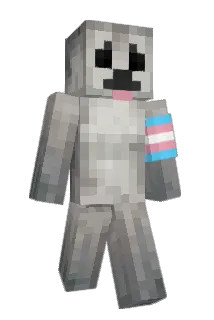 SealSaysYes Minecraft avatar full body
