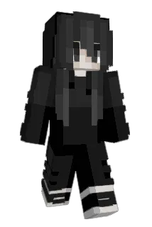 Sealinq Minecraft avatar full body