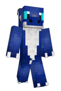 Seallyfella Minecraft avatar full body