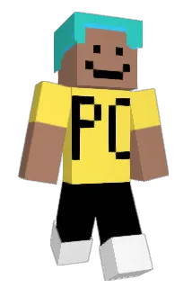 Sealsplayz Minecraft avatar full body