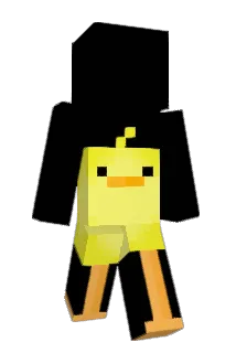 Seashxlls Minecraft avatar full body