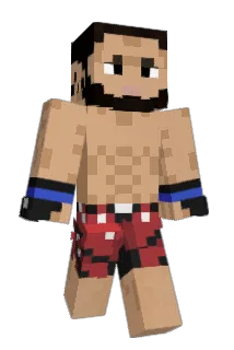 Seatbelts Minecraft avatar full body