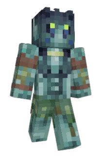 Seaweed6589 Minecraft avatar full body
