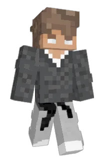 SebTint Minecraft avatar full body