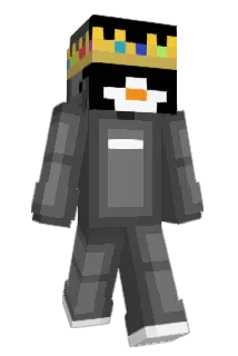 Sebbe2050 Minecraft avatar full body