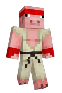 SebbyG16 Minecraft avatar full body